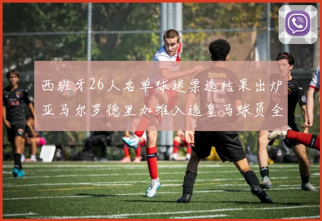 西班牙26人名单球迷票选结果出炉亚马尔罗德里加维入选皇马球员全无