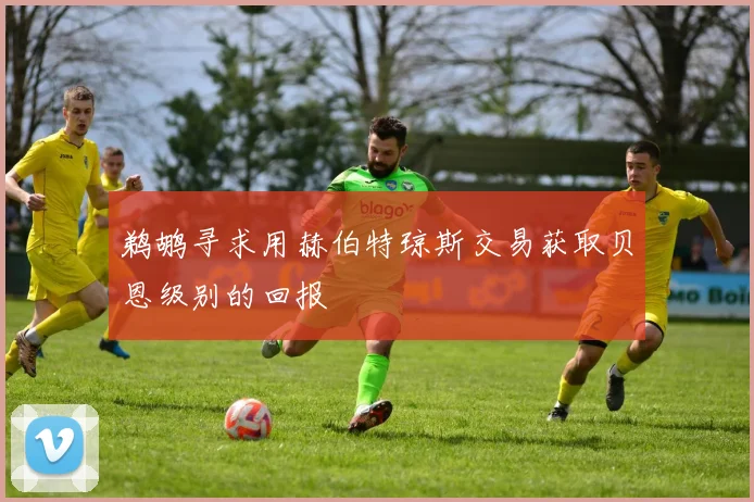 鹈鹕寻求用赫伯特琼斯交易获取贝恩级别的回报